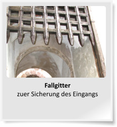 Fallgitterzuer Sicherung des Eingangs